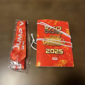 점프 빅토리 카니발 2025 여권