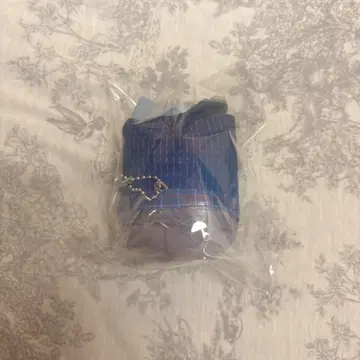 코야나기 로우 니지산지 모치코로린
