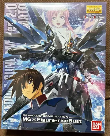 MG 프리덤 건담 Ver.2.0 MG x Figure-rise Bust