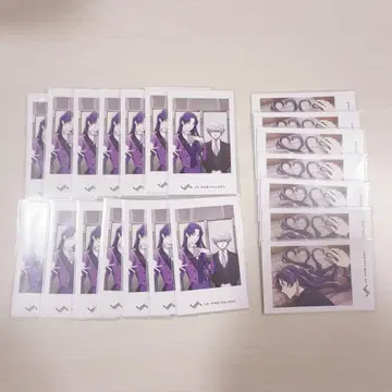 비바 렌 레이 샤타코레 묶음 판매