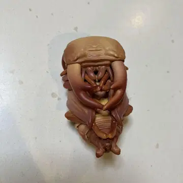 오오쿠와가타 번데기 캡슐 토이