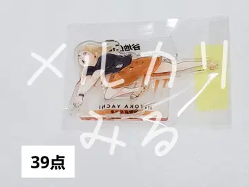 하이큐 10th 크로니클 타니치 히나 아크릴 피규어