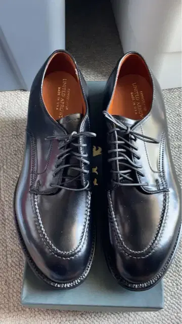 미사용 새상품 알든 #N6443 UNITED ARROWS 코도반