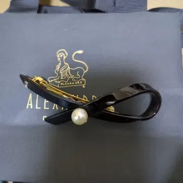ALEXANDRE DE PARIS 블랙 머리핀
