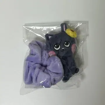 RIIZE 안콘 스크런치 원빈 토냥덕