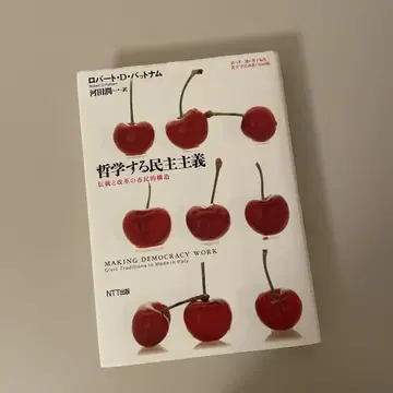 도서  철학하는 민주주의 로버트 D. 패트넘 NTT 출판