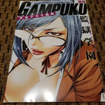 히라모토 아키라 화집 GAMPUKU 눈의 즐거움