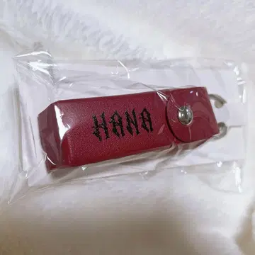HANA 로고가 들어간 립 케이스