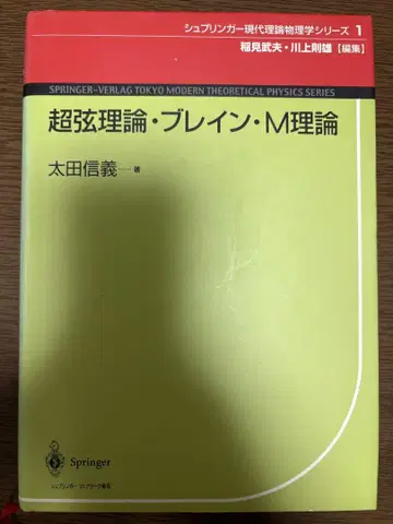 초줄 이론, 브레인, M 이론