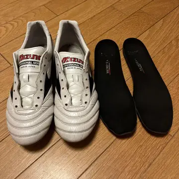 모레리아 2 일본