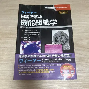 위터 기능 조직학 원저 제6판