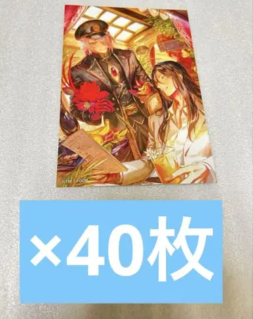 FGO CBC 카페 엽서 세트 카르데아 익스프레스 40장