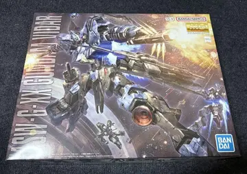 [조립 미완성] MG 1/100 건담 비다르