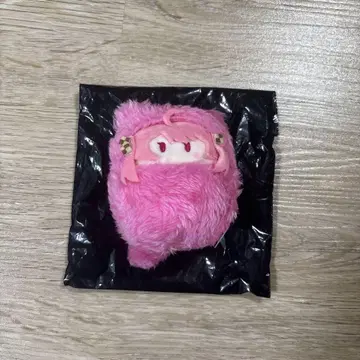 컬러풀 피치 노아 타피누이