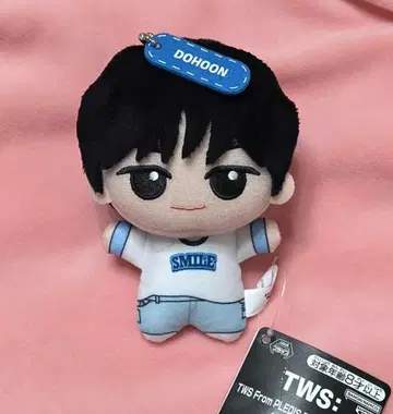 TWS From PLEDIS ENTERTAINMENT SD 인형 도훈