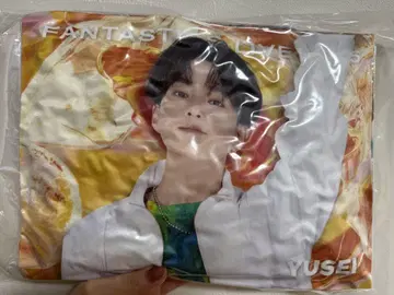 야기 유세이 쿠션