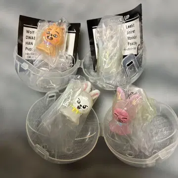 메지루시 액세서리 한쿼카 Lee 비트 돼끼