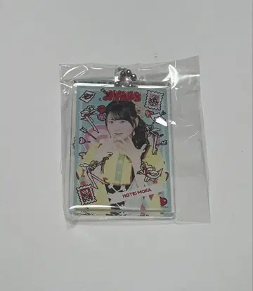 AKB48 다이마루 의상전 아크릴 키링 헝겊 가방