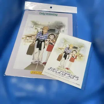 추억이 포르르