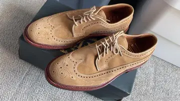 미사용 새상품 알든 LONGWING SUEDE #87892 8D