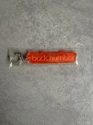 back number 랜덤 PVC 리플렉터 키링