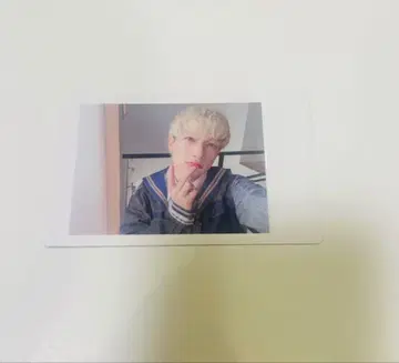 팬더 드래곤 파라곤 하피카 폴라로이드 요타 6