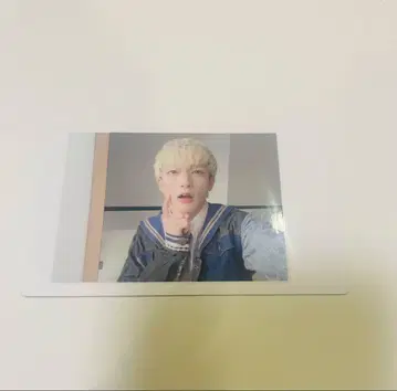 팬더 드래곤 파라곤 하피카 폴라로이드 요타 7