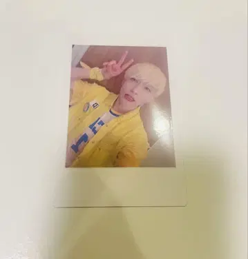 팬더 드래곤 파라곤 하피카 폴라로이드 요타 13