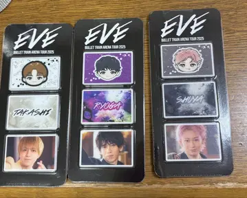 초특급 EVE 투어 사진 그레이 부품 RYOGA SHUYA TAKASHI