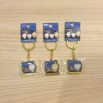 치이카와 하치와레 토끼 홋카이도 하코다테의 야경 한정판 홋카이도 한정판