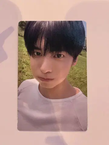 쇼케이스 한정판 트레이딩 카드 태현 TXT 투바 showcase