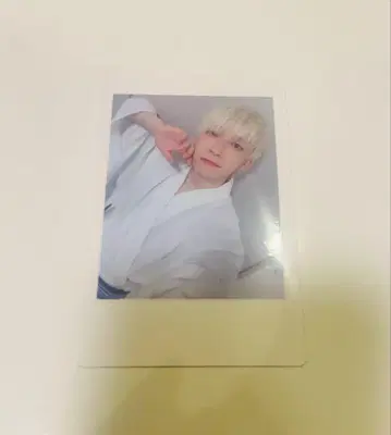 팬더 드래곤 파라곤 하피카 폴라로이드 요타 17