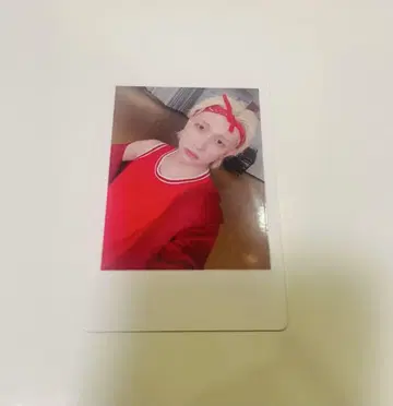 팬더 드래곤 파라곤 하피카 폴라로이드 요타 19