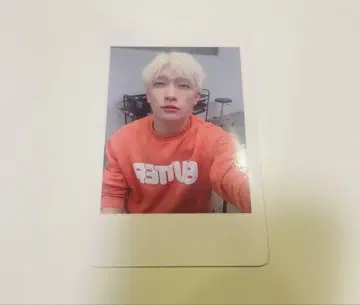 팬더 드래곤 파라곤 하피카 폴라로이드 요타 20
