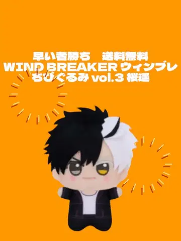 선착순 WIND BREAKER SD 인형 vol.3 타치바나
