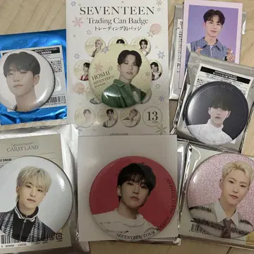 SEVENTEEN 호시 캔뱃지