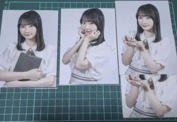 STU48 가오쯔 사야카 브로마이드 세트