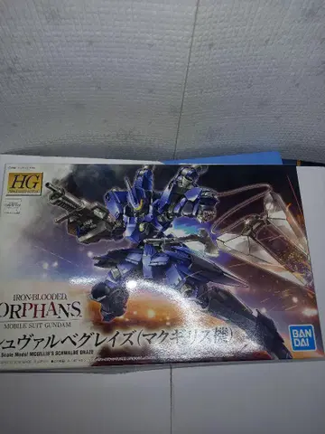 HG 슈발베그레이즈