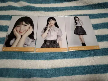 오가와 아야 빅 보타이 블라우스 브로마이드 컴프