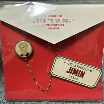 BTS LOVE YOURSELF 지민 체인 배치