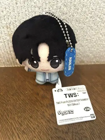 TWS 투아스 SD 인형 vol.1 HANJIN 한진