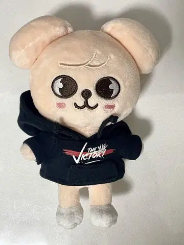 SKZOO mini plush PuppyM 승민 봉제 인형