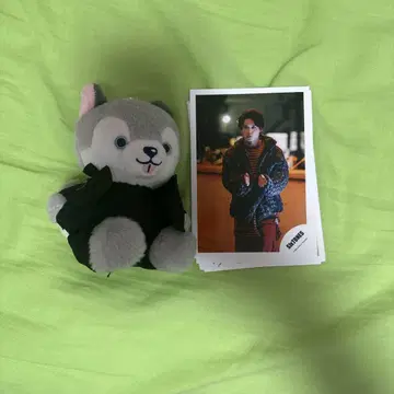노키도라 봉제 인형 마쓰무라 호쿠토