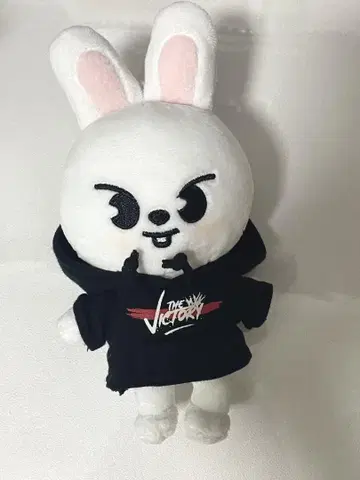 SKZOO mini plush Leebit 리노 봉제 인형