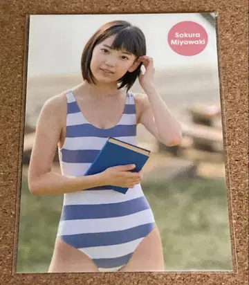 미야와키 사쿠라 잡지 girls 부록 트레이딩 카드 HKT48
