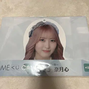 카와나카고 나츠키 행거