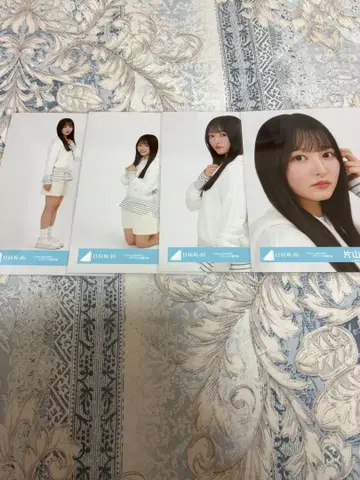 히나타자카46 브로마이드 가타야마 사키