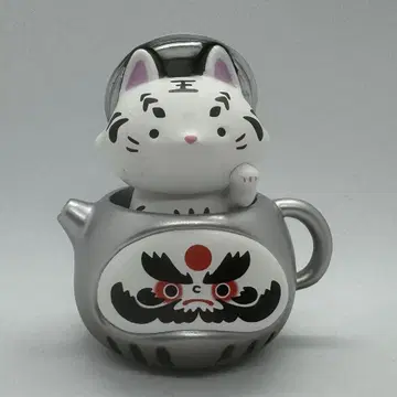 브라운 여우 달마 2대 필다 화이트 타이거