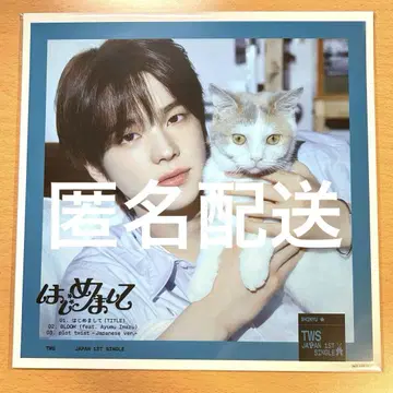 시뉴 메가 자켓