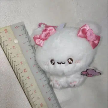 치무무. 마호우치 해수욕장 후와키쿤
